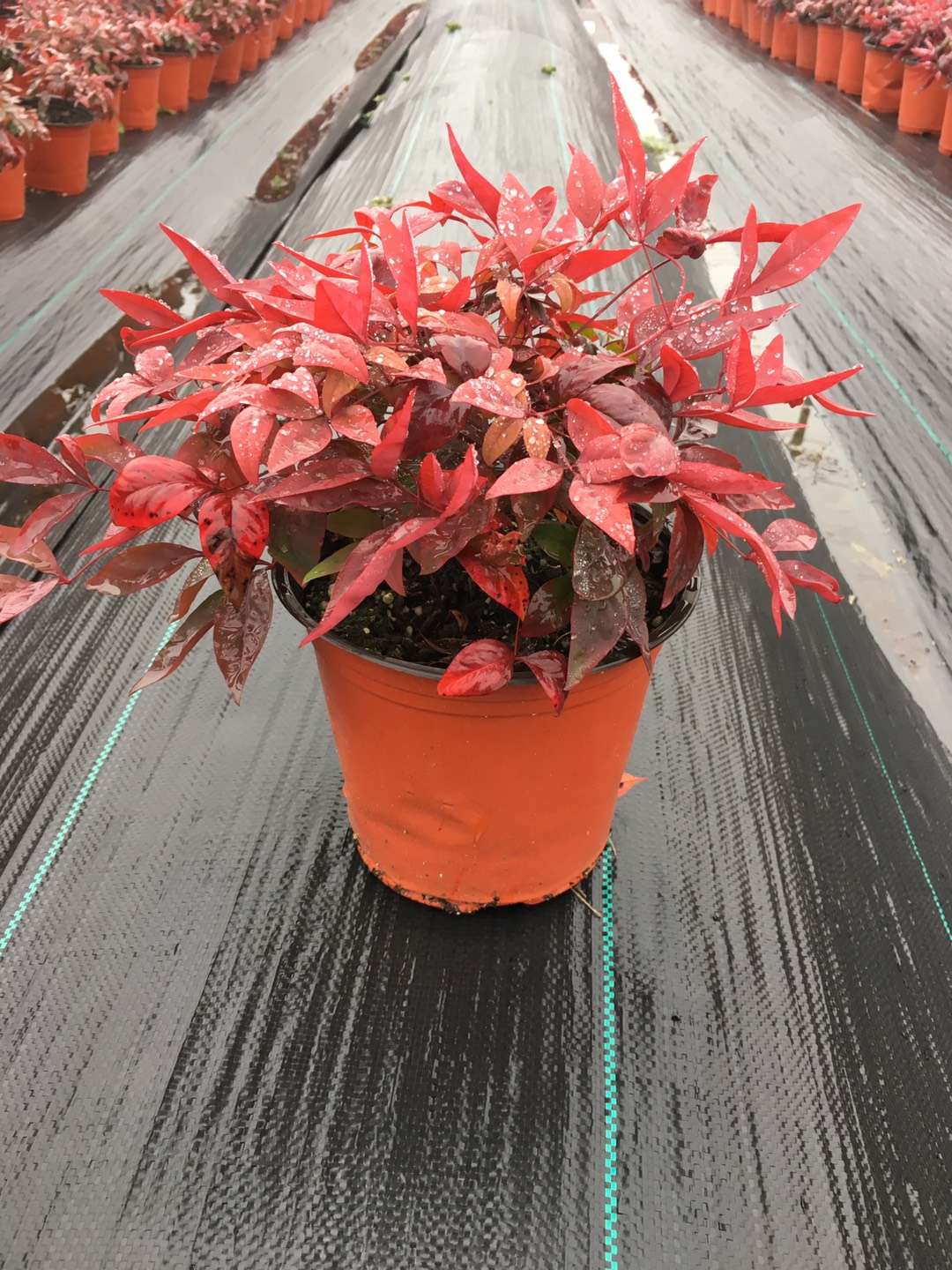 關于品質，我們“用圖”說話