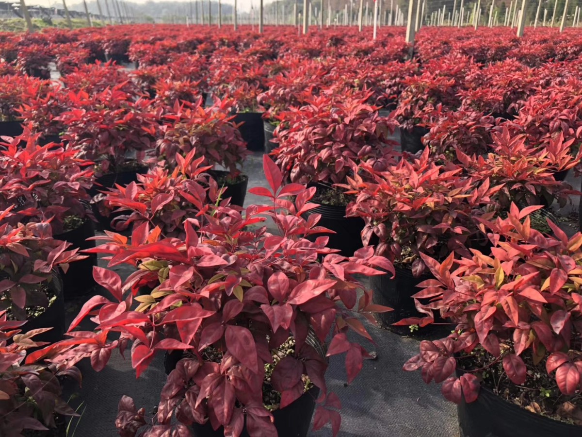 關于品質，我們“用圖”說話