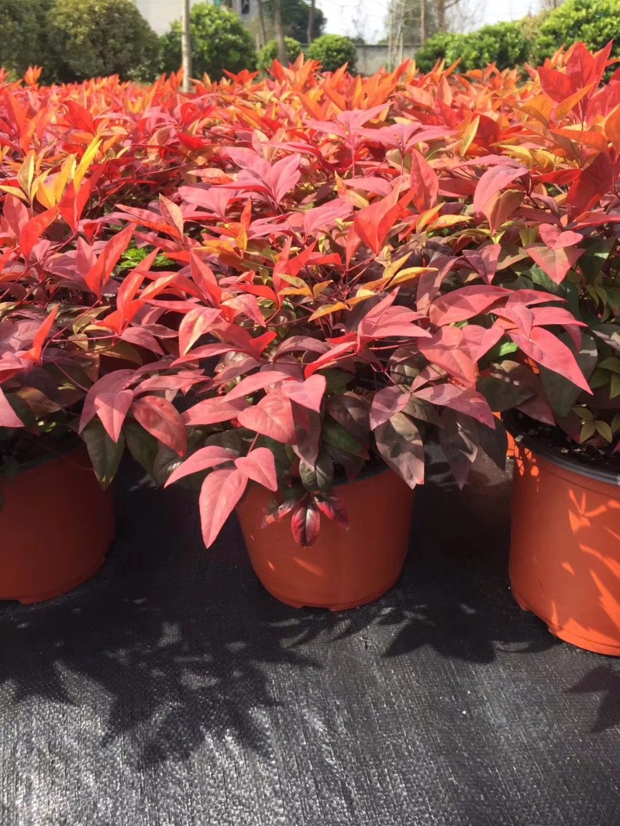 關于品質，我們“用圖”說話